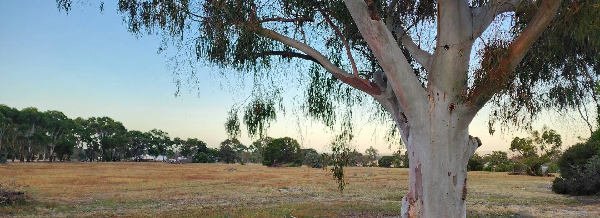 Pomonal Cottages Grampians