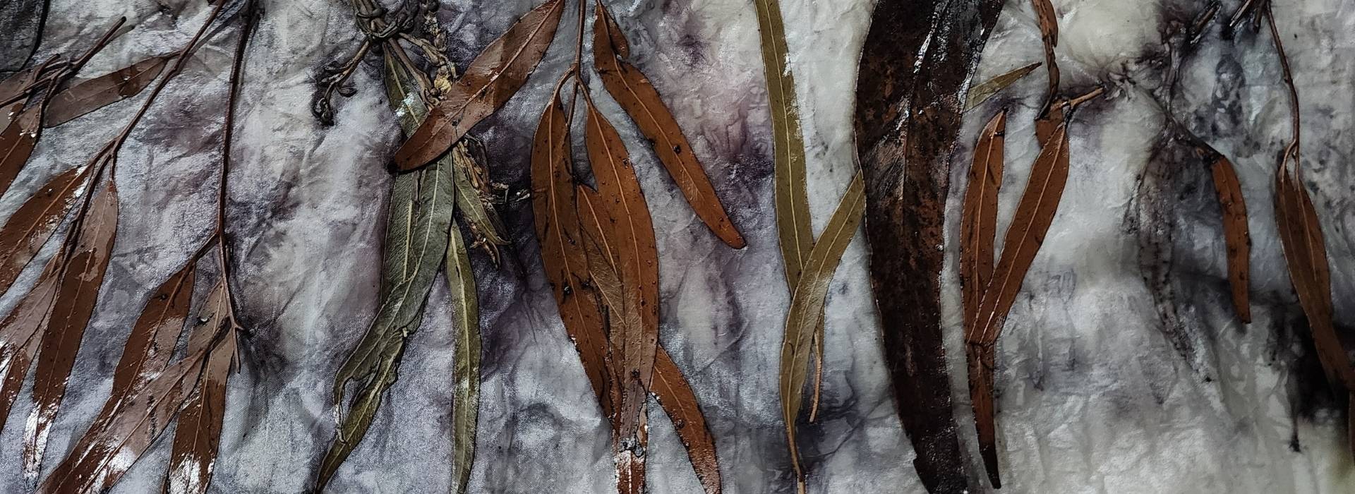 Pomonal Cottages Grampians